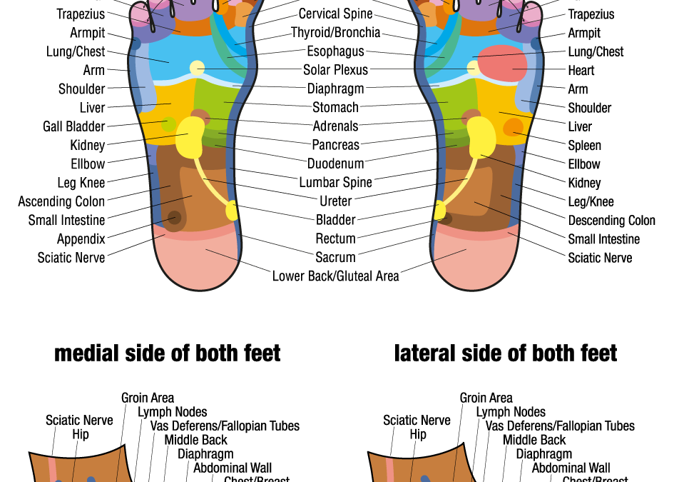 Reflexology